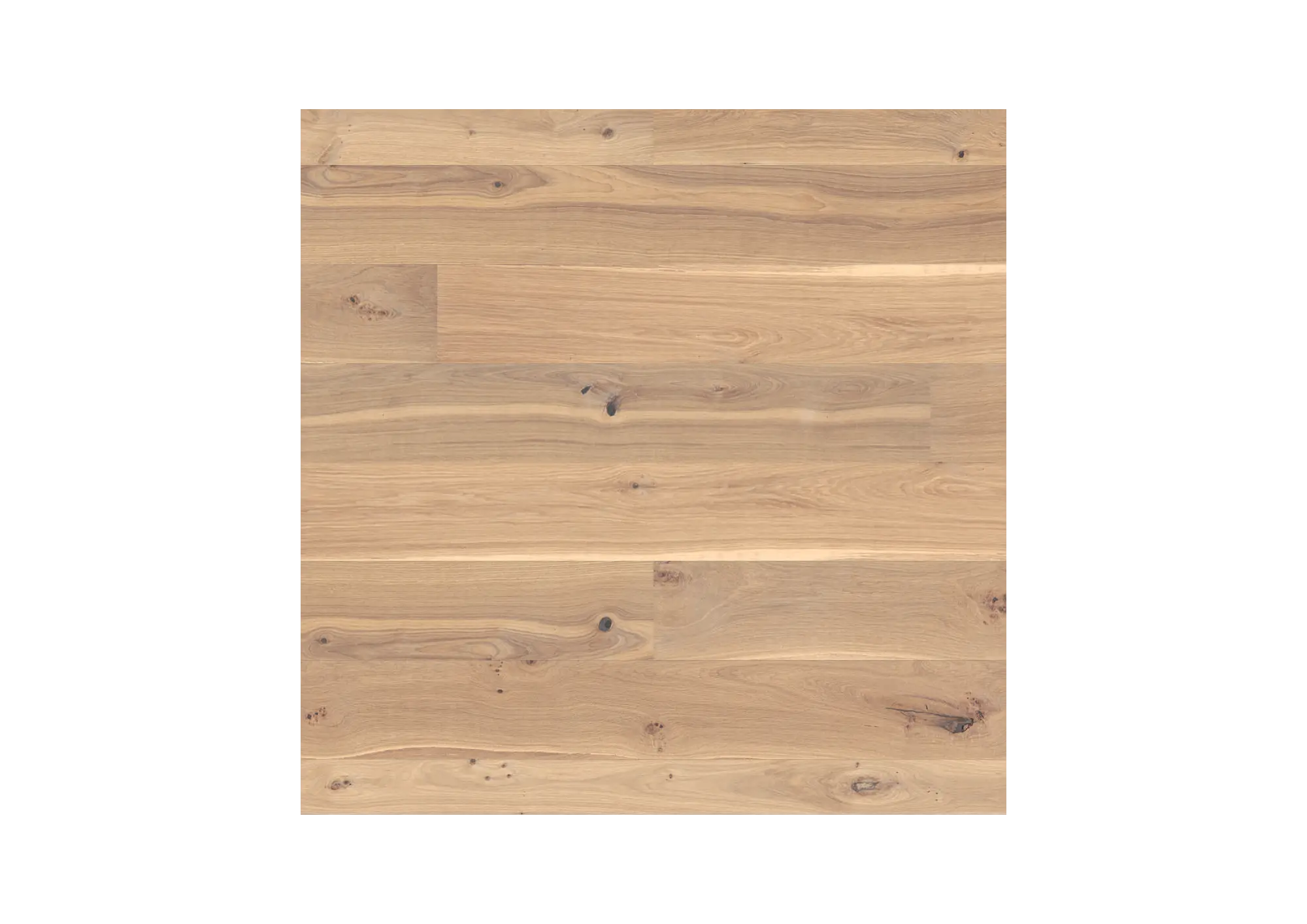 Oak White Wild Plank Matte Lacquered