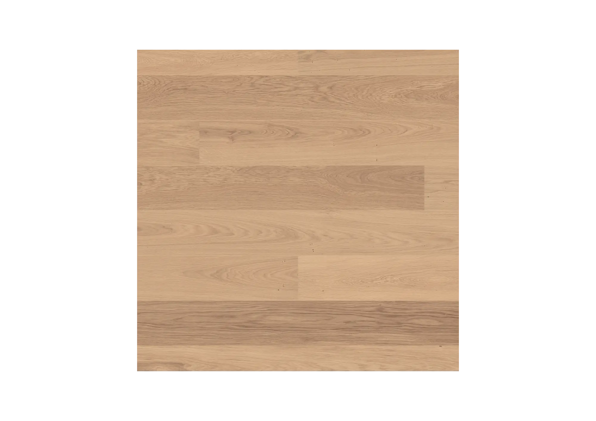 Oak White Calm Plank Matte Lacquered