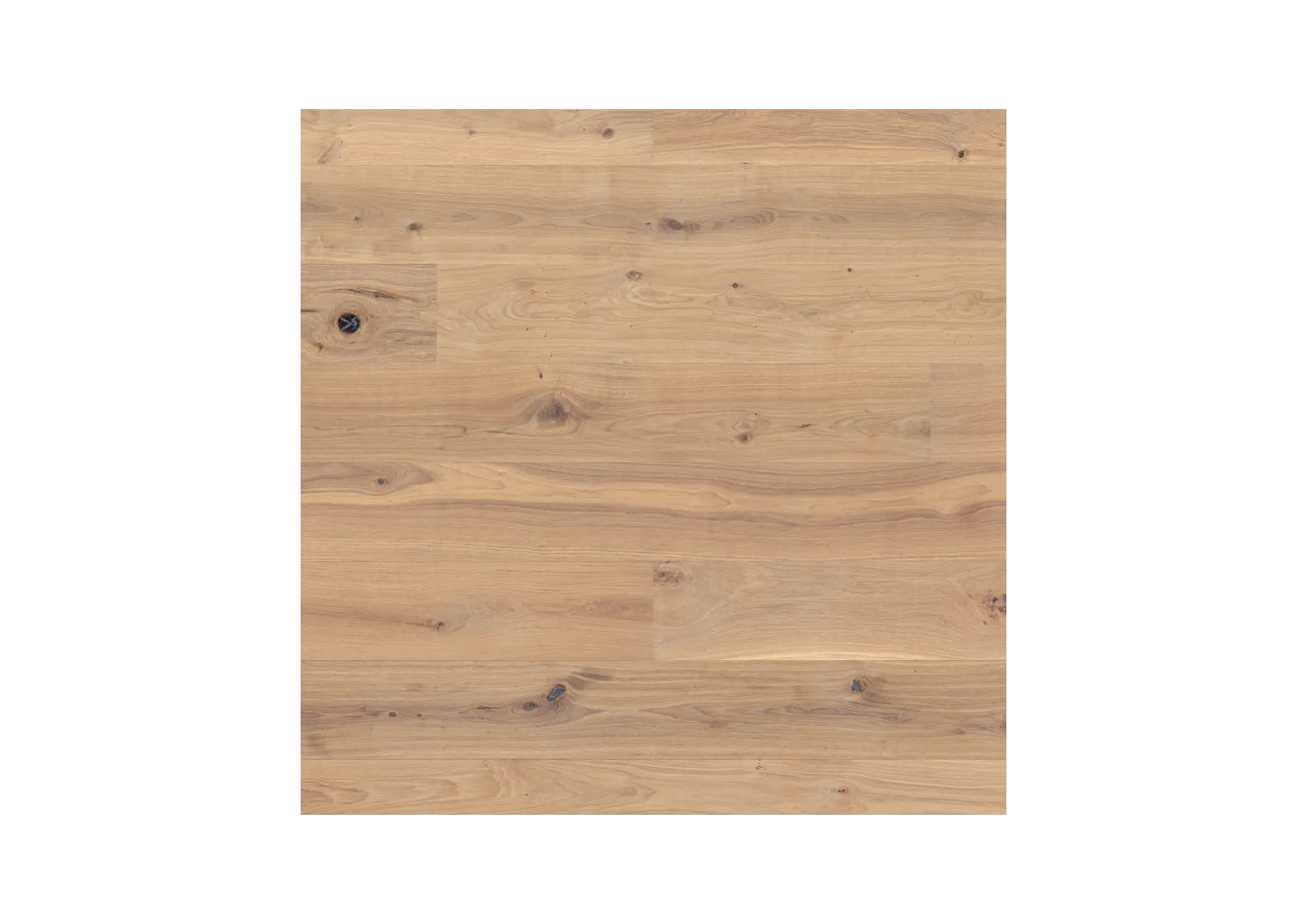Oak White Knotty Plank Matte Lacquered