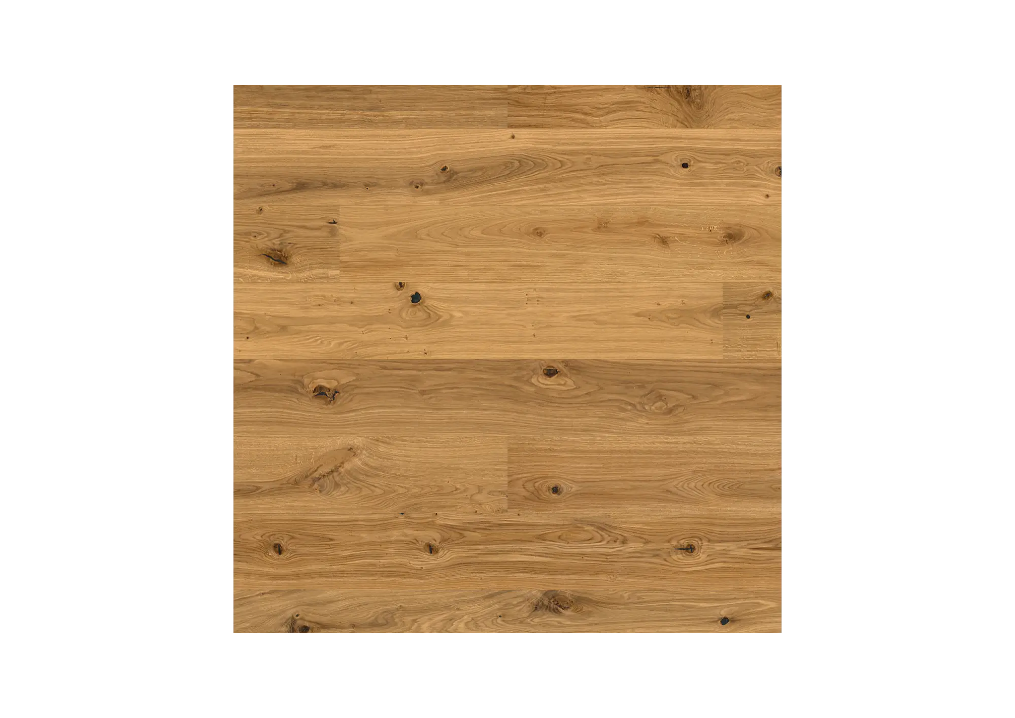 Oak Knotty Plank Matte Lacquered